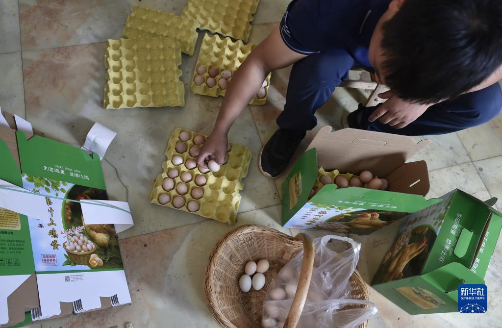 奔驰宝马娱乐游戏平台